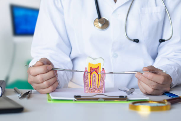 Best Pediatric Emergency Dentist in Cuthbert, GA